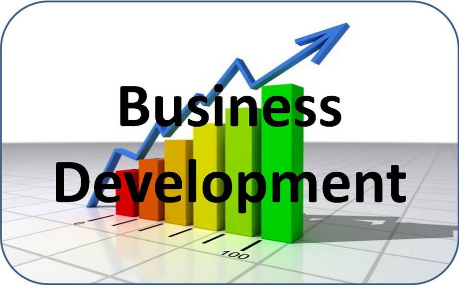 Business Development Consulting Services